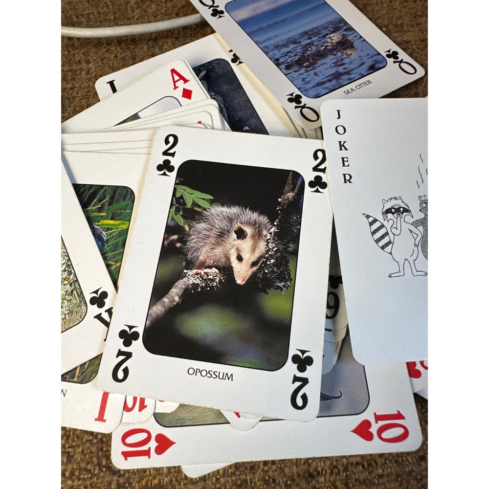 Discover American Wildlife Playing Cards 52 Different Animal Images Poker Deck - Picture 3 of 6
